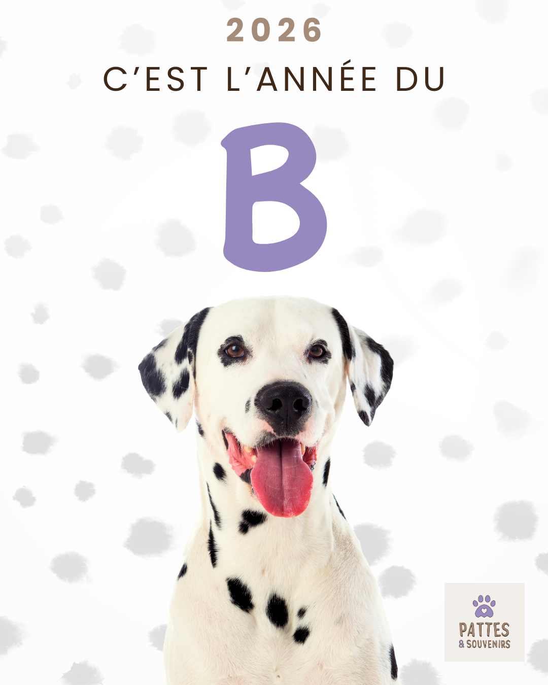 en 2026 c'est l'année de la lettre B
