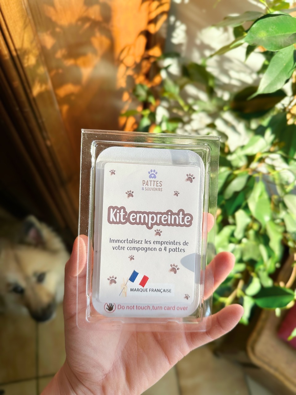 Kit empreinte patte - Encre sans contact