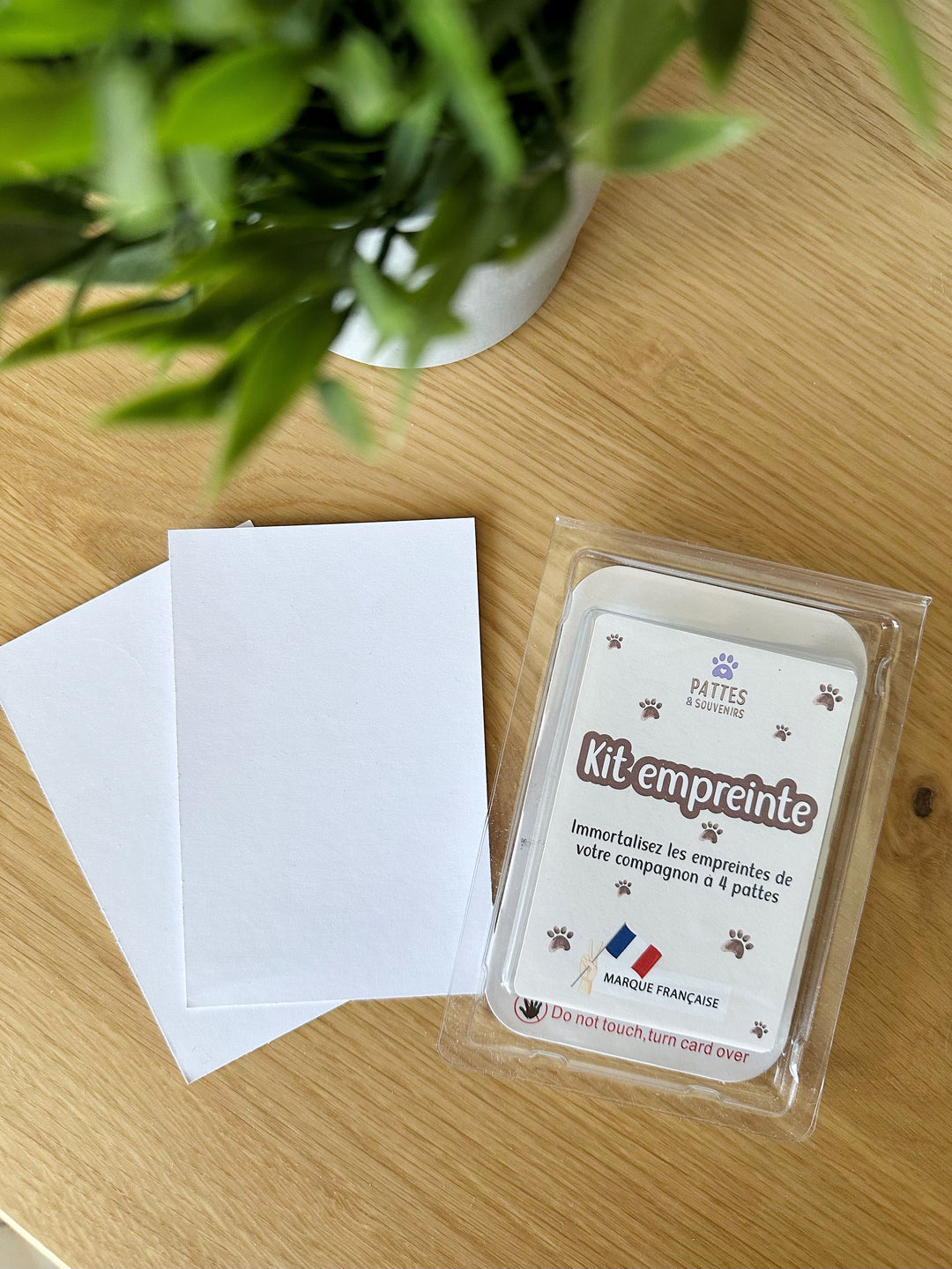 Kit empreinte patte - Encre sans contact