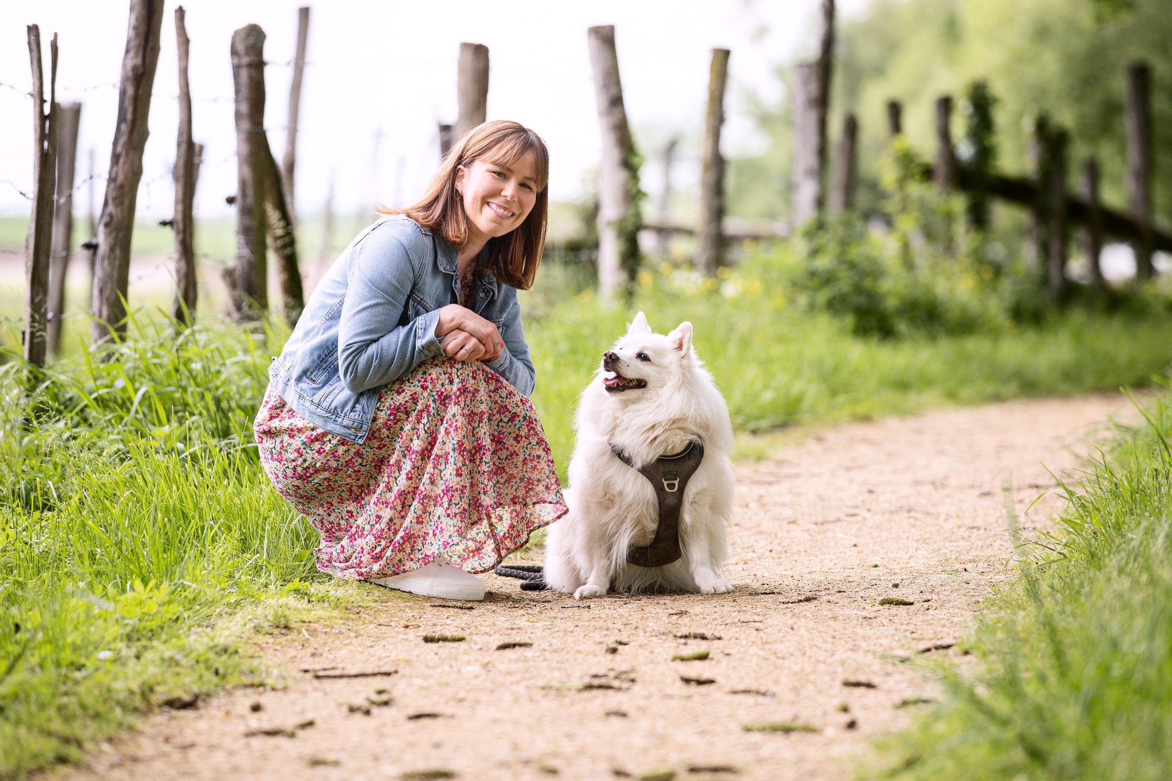 Spitz japonnais avec sa maitresse