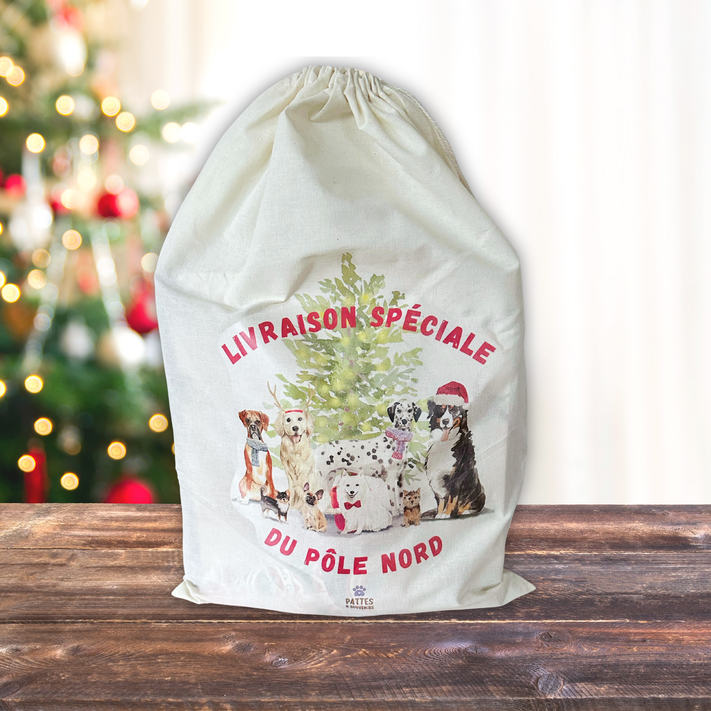 Hotte de Noël pour chien - "Mon fidèle compagnon"